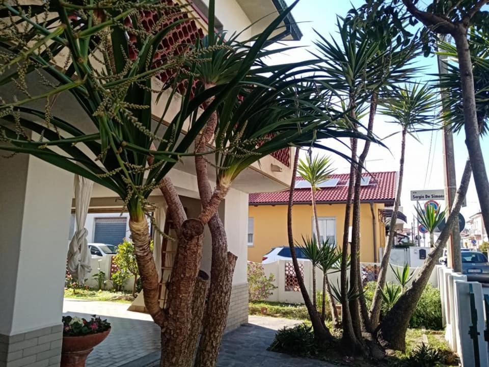 Florinda B&B 维亚雷焦 外观 照片