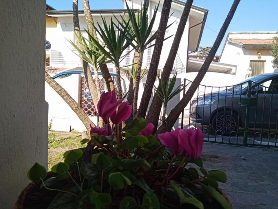 Florinda B&B 维亚雷焦 外观 照片