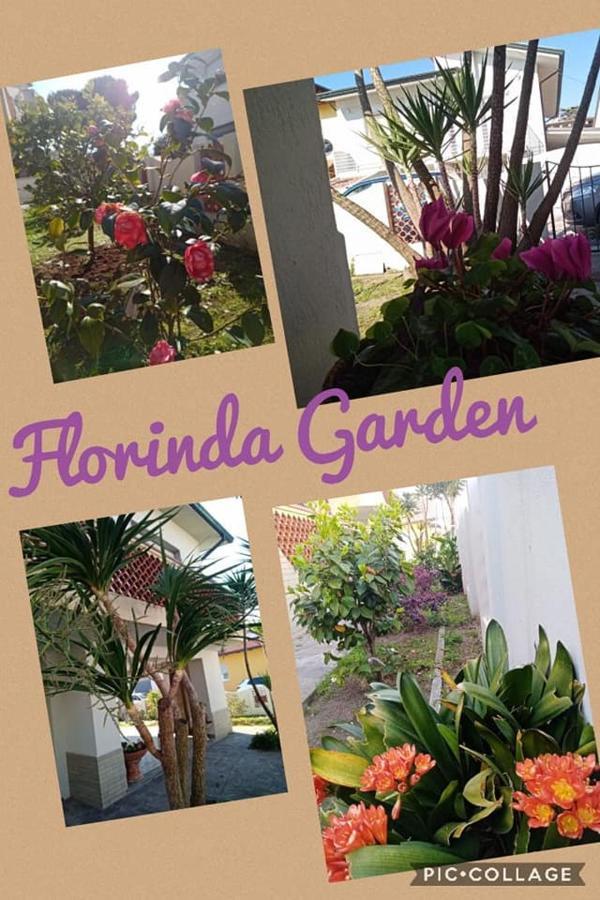 Florinda B&B 维亚雷焦 外观 照片